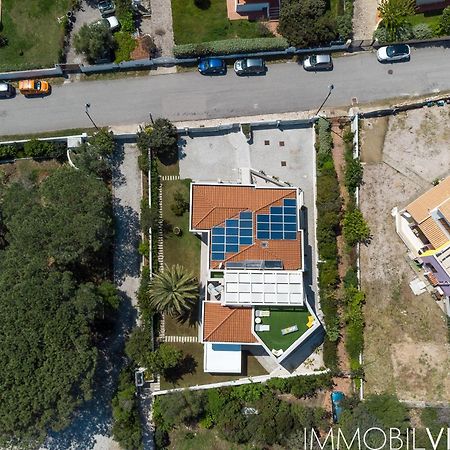 אולביה Wlofts 13 By Klodge מראה חיצוני תמונה