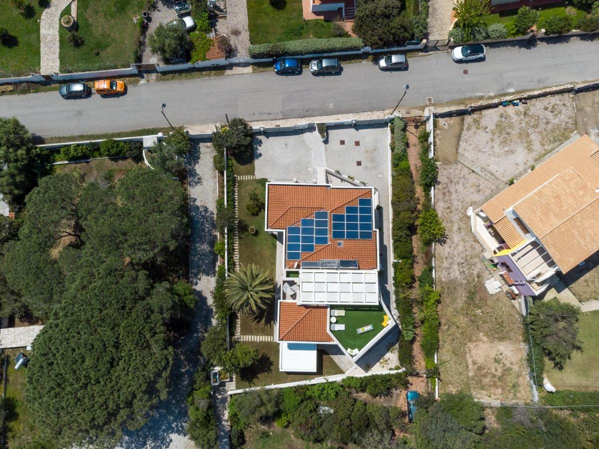 אולביה Wlofts 13 By Klodge מראה חיצוני תמונה